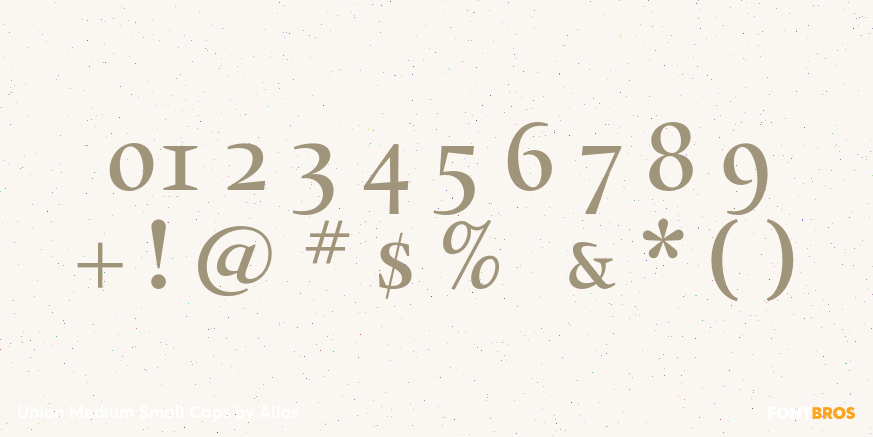 Union Medium Small Caps Font Poster #4