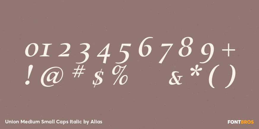 Union Medium Small Caps Italic Font Poster #1