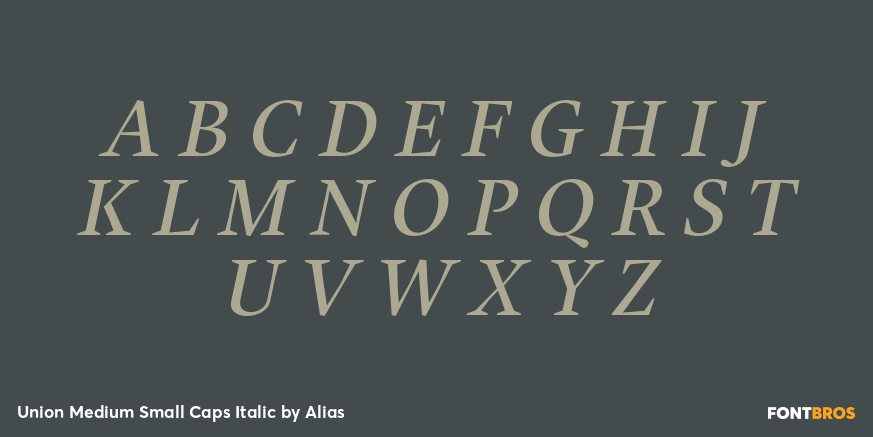 Union Medium Small Caps Italic Font Poster #2