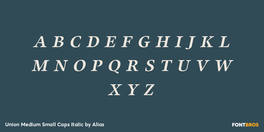 Union Medium Small Caps Italic Font Poster #3