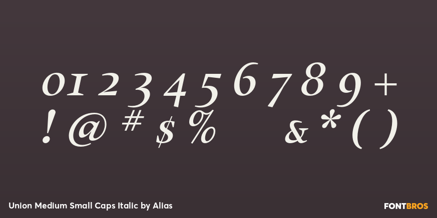 Union Medium Small Caps Italic Font Poster #4
