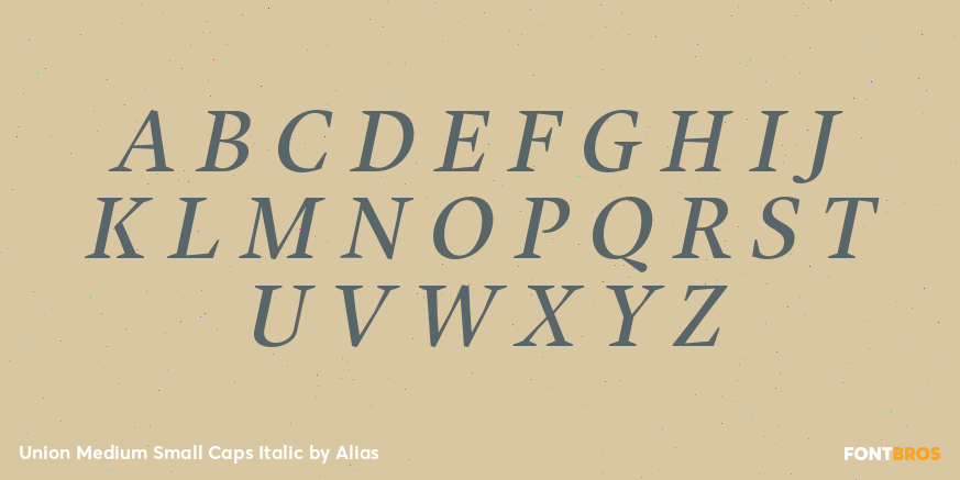 Union Medium Small Caps Italic Font Poster #1