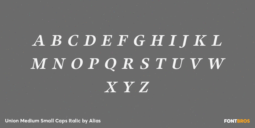 Union Medium Small Caps Italic Font Poster #1