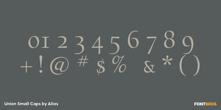 Union Small Caps Font Poster #1
