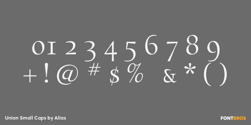 Union Small Caps Font Poster #4