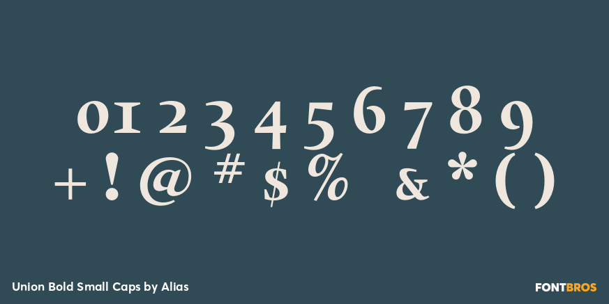 Union Bold Small Caps Font Poster #4