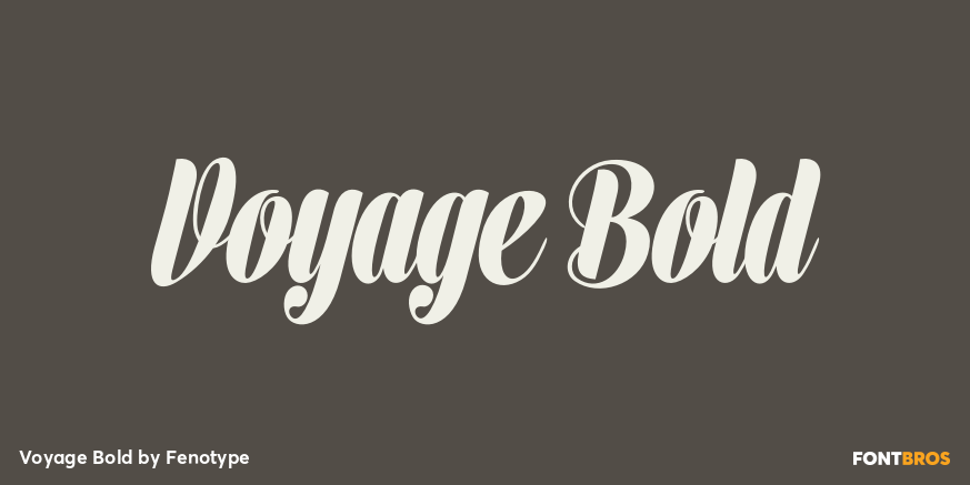 Voyage Bold Font Poster #1