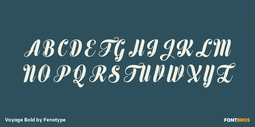 Voyage Bold Font Poster #2