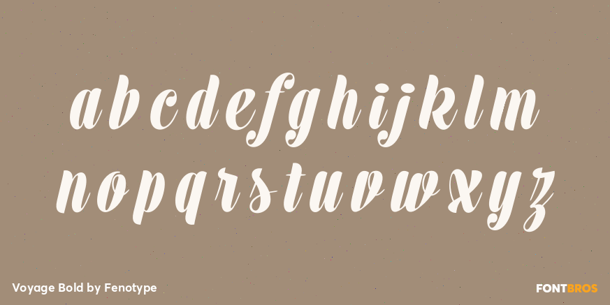 Voyage Bold Font Poster #3