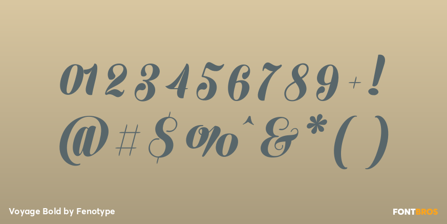 Voyage Bold Font Poster #4