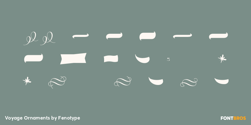 Voyage Ornaments Font Poster #1