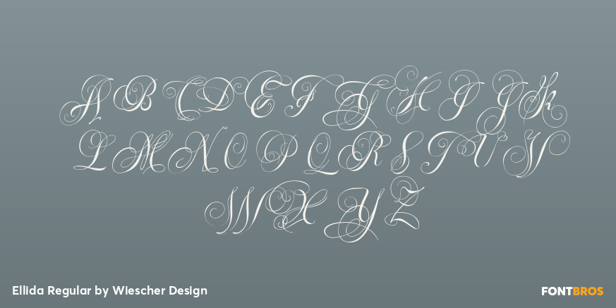 Ellida Regular Font Poster #1
