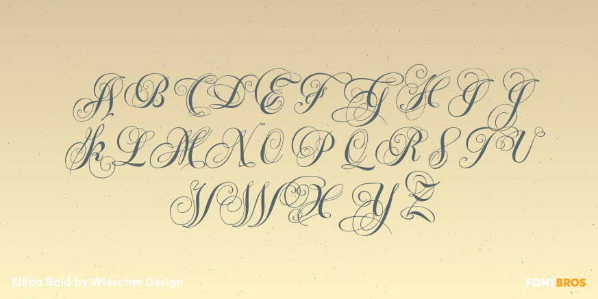 Ellida Bold Font Poster #2