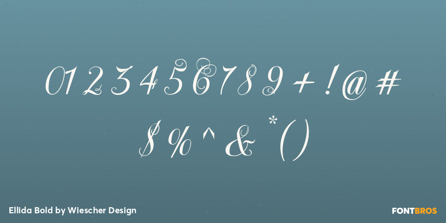 Ellida Bold Font Poster #4