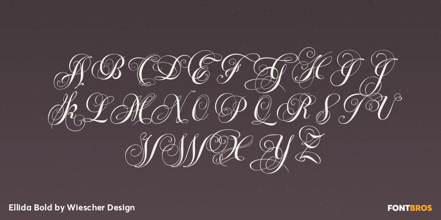 Ellida Bold Font Poster #1
