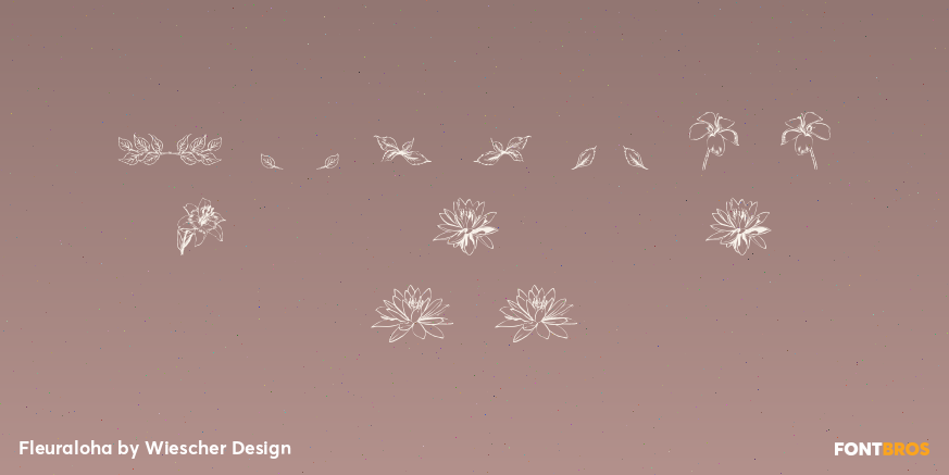 Fleuraloha Font Poster #4