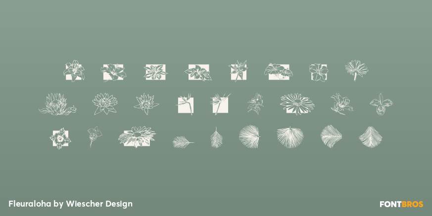 Fleuraloha Font Poster #1