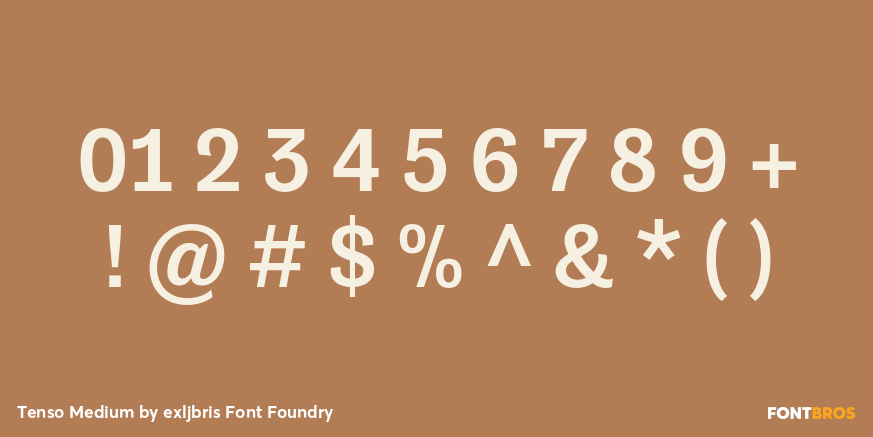 Tenso Medium Font Poster #4