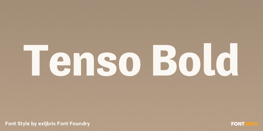 Tenso Bold Font Poster #1