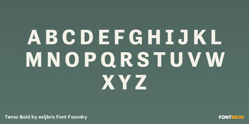Tenso Bold Font Poster #2