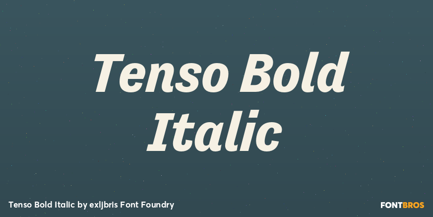 Tenso Bold Italic Font Poster #1