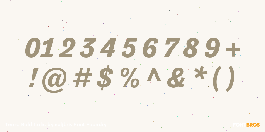 Tenso Bold Italic Font Poster #4