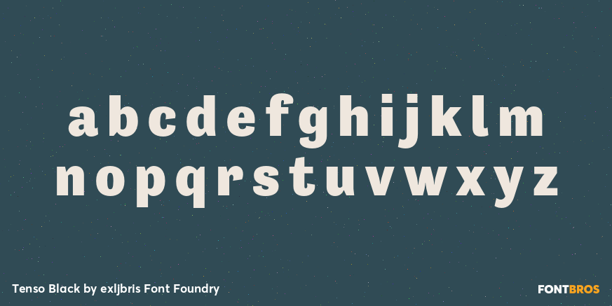 Tenso Black Font Poster #1