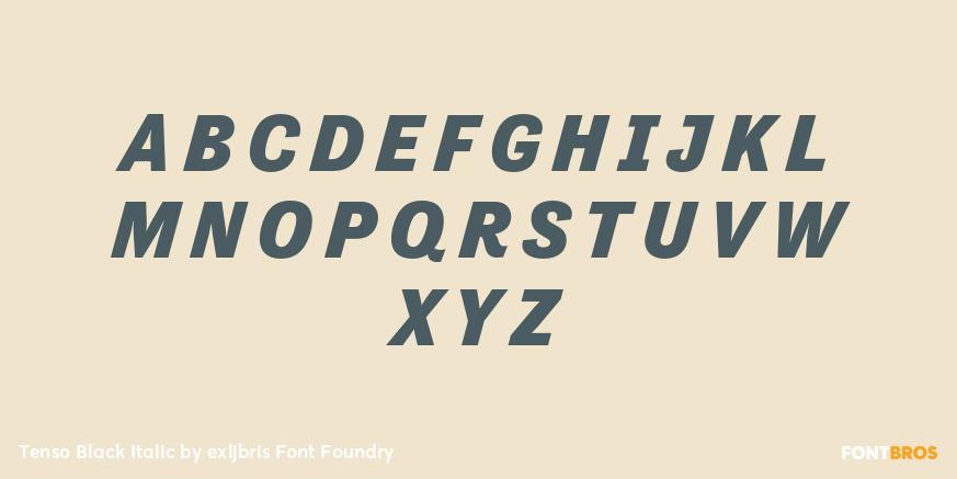 Tenso Black Italic Font Poster #2