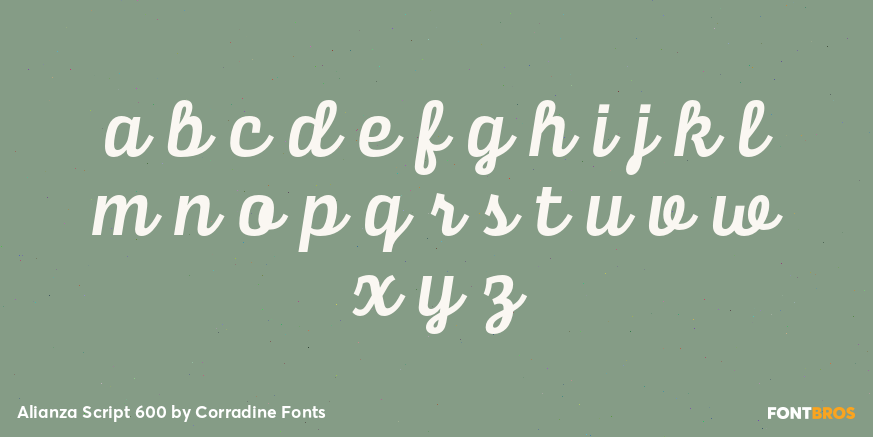 Alianza Script 600 Font Poster #3