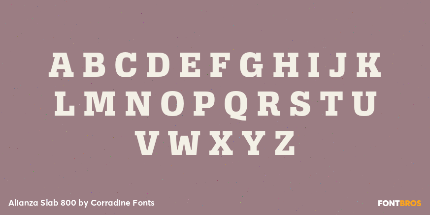 Alianza Slab 800 Font Poster #1