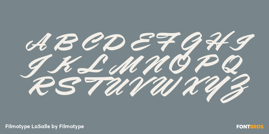 Filmotype LaSalle Font Poster #1