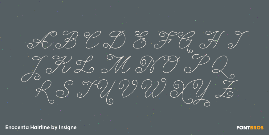 Enocenta Hairline Font Poster #2
