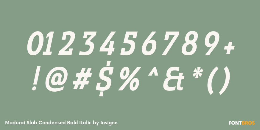Madurai Slab Condensed Bold Italic Font Poster #4