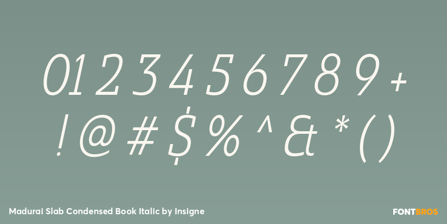 Madurai Slab Condensed Book Italic Font Poster #1