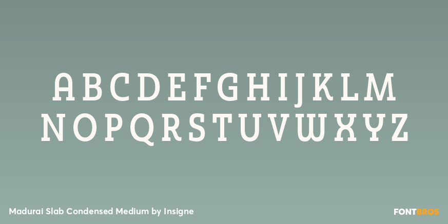 Madurai Slab Condensed Medium Font Poster #2