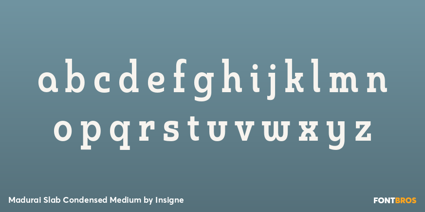 Madurai Slab Condensed Medium Font Poster #3