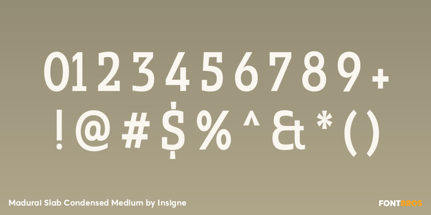 Madurai Slab Condensed Medium Font Poster #4
