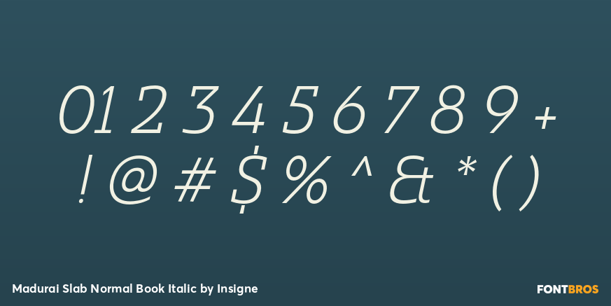 Madurai Slab Normal Book Italic Font Poster #1
