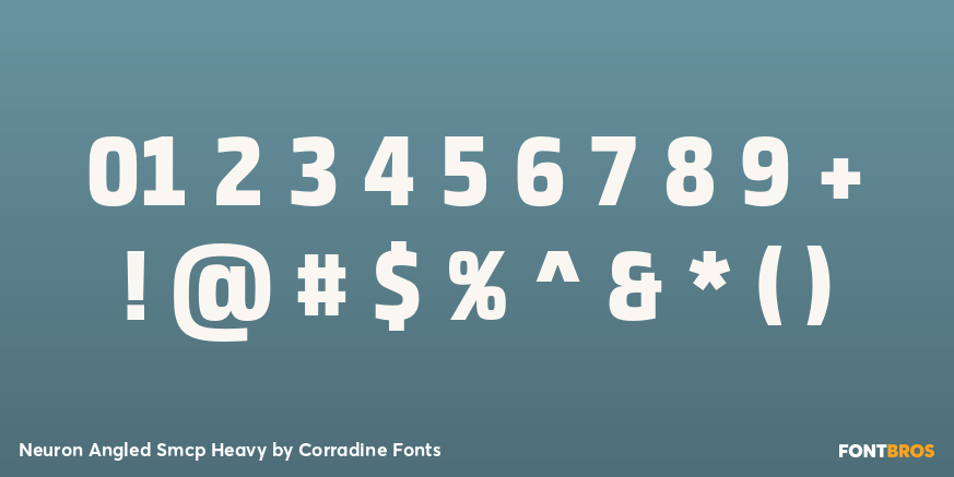 Neuron Angled Smcp Heavy Font Poster #4