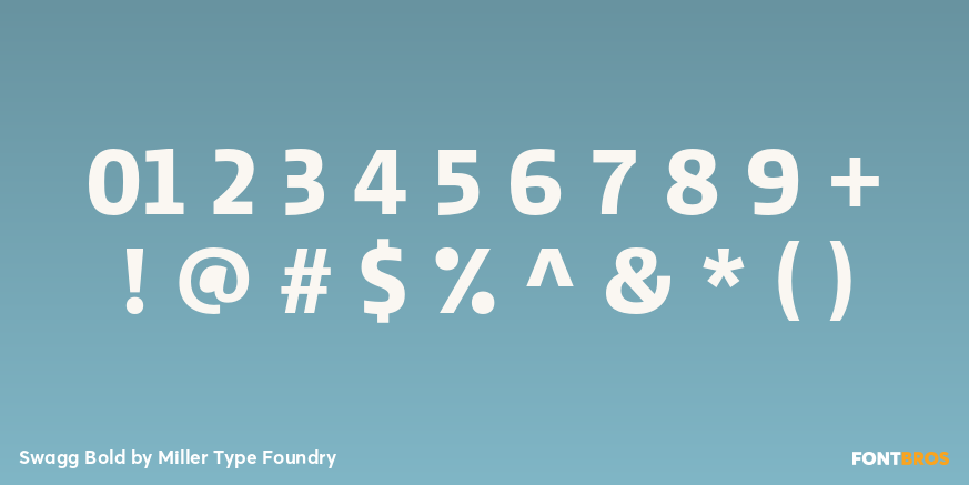 Swagg Bold Font Poster #1