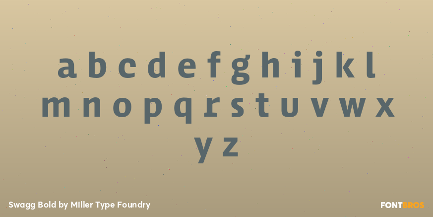 Swagg Bold Font Poster #1