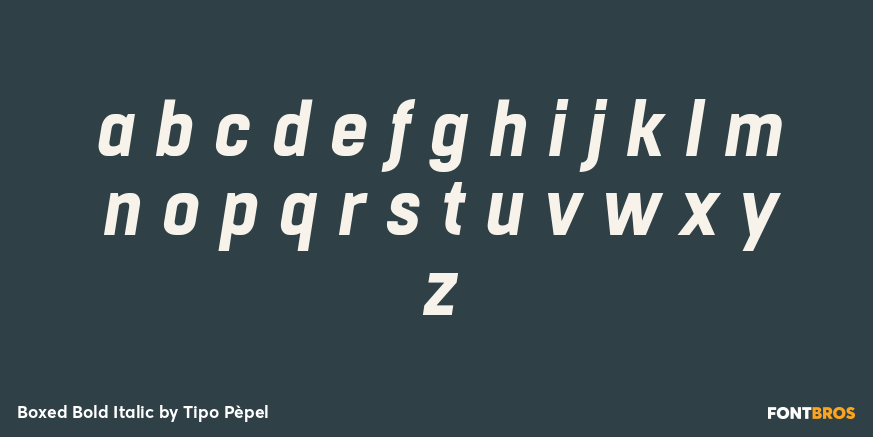 Boxed Bold Italic Font Poster #3