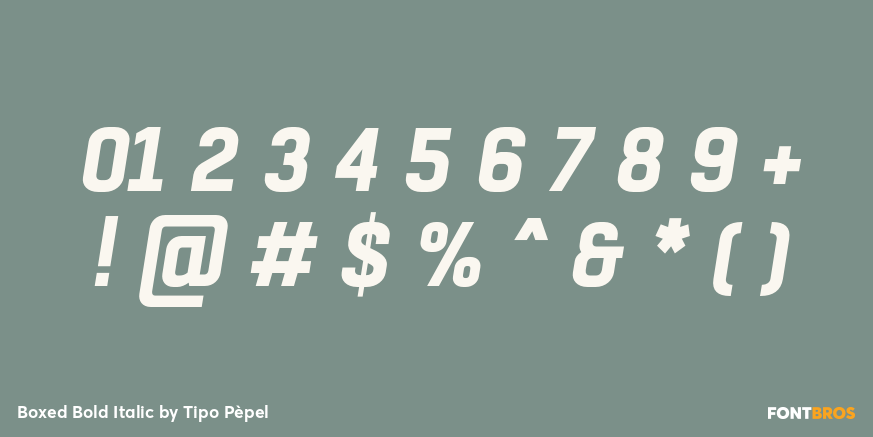 Boxed Bold Italic Font Poster #4