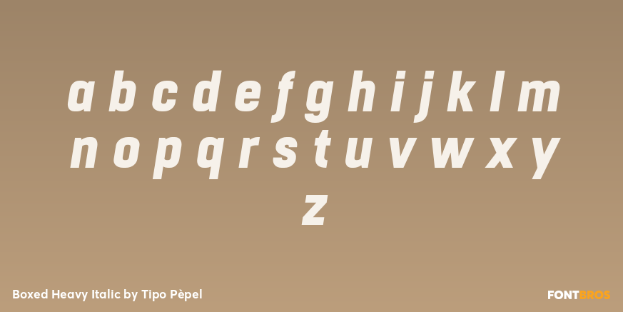 Boxed Heavy Italic Font Poster #3