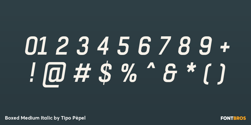 Boxed Medium Italic Font Poster #4