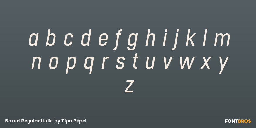Boxed Regular Italic Font Poster #3