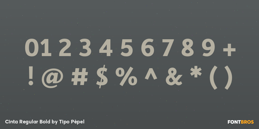 Cinta Regular Bold Font Poster #1