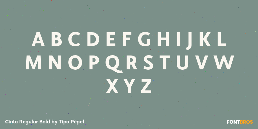 Cinta Regular Bold Font Poster #1