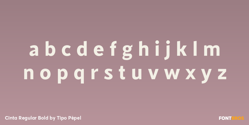 Cinta Regular Bold Font Poster #1