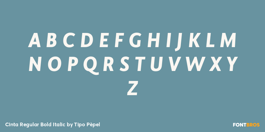 Cinta Regular Bold Italic Font Poster #2
